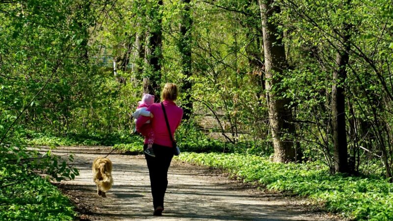 Rozkoszowanie się końcówką lata na świeżym powietrzu w Dolinie Raby