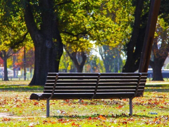 Nowa przestrzeń rekreacyjna w Bronowicach: Park Rzeczny im. W. Tetmajera