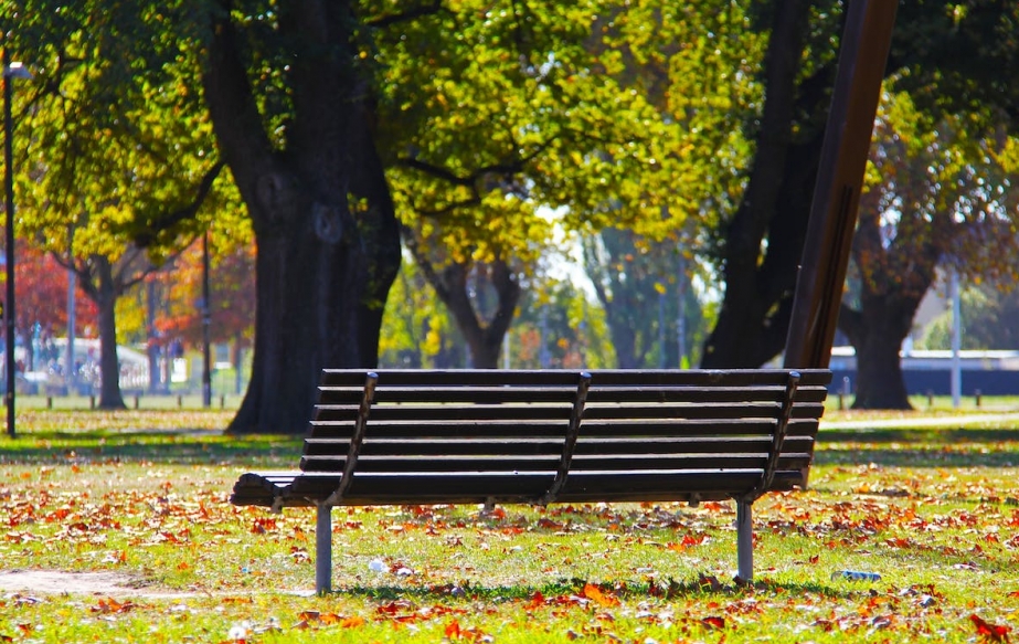 Nowa przestrzeń rekreacyjna w Bronowicach: Park Rzeczny im. W. Tetmajera