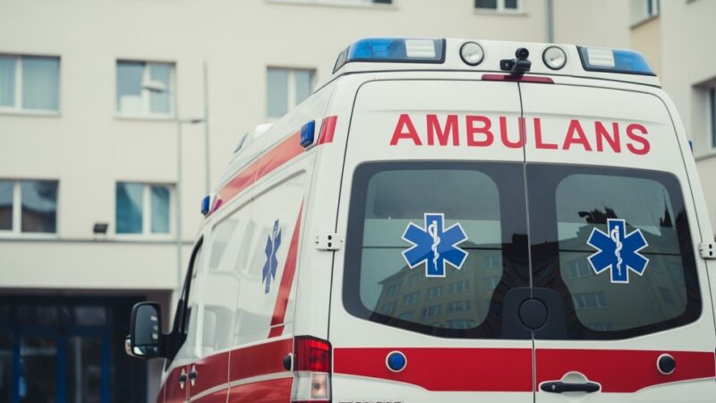 Kraków: Kobieta zaatakowana przez amstafa, właściciel psa próbował uciec