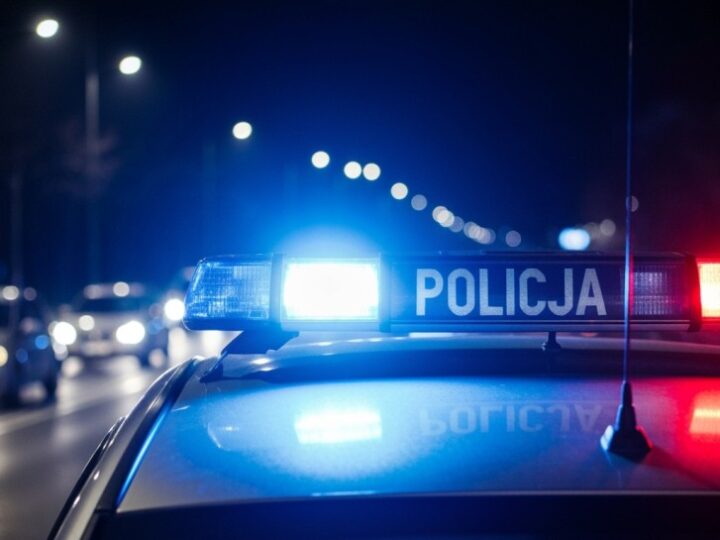 Deportowany z Norwegii przestępca w rękach polskiej policji – czeka go więzienie!