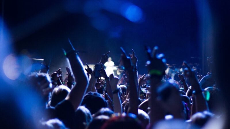 Porfirion zaprasza na magiczny koncert Dziewczyny jesienne w Piwnicy pod Baranami
