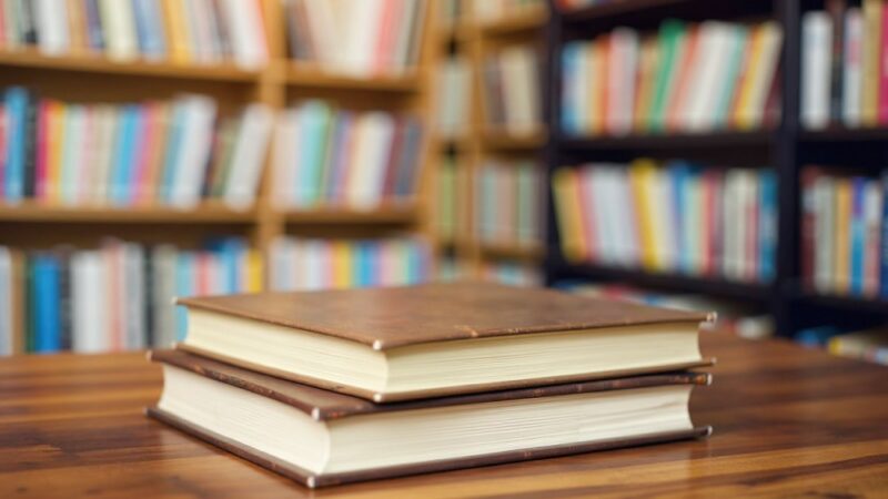 Wzbij się w przestworza: odkryj historie lotniczych bohaterów w bibliotece!