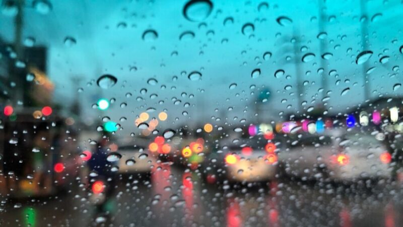 Uwaga! Gęsta mgła zagraża widoczności na drogach!