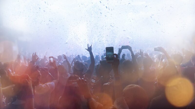 Muzyczny maraton dla czworonogów: Kraków w akcji na rzecz bezdomnych zwierząt