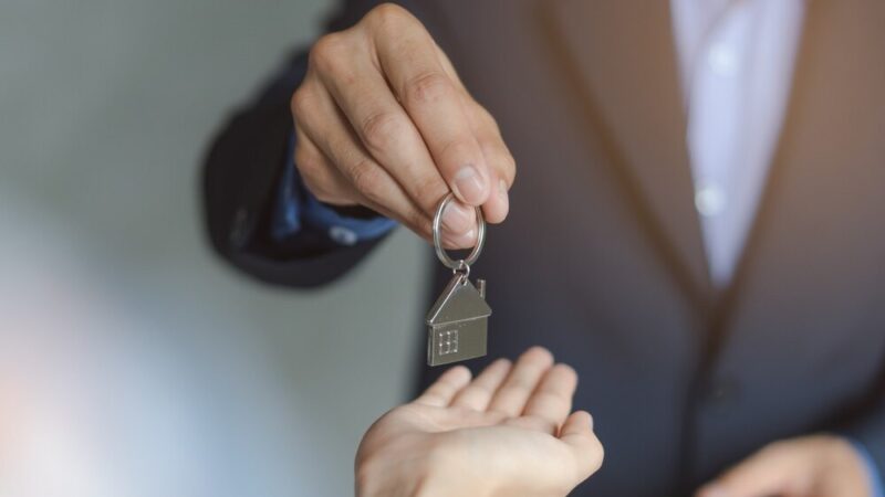 Zielony Zakątek: Nowe Mieszkania w Grzegorzowicach Już w 2026 Roku!