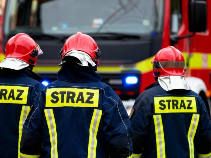 Strażacy uwalniają sowę uwięzioną w kominie w Krakowie