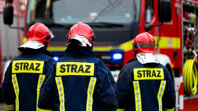 Strażacy uwalniają sowę uwięzioną w kominie w Krakowie