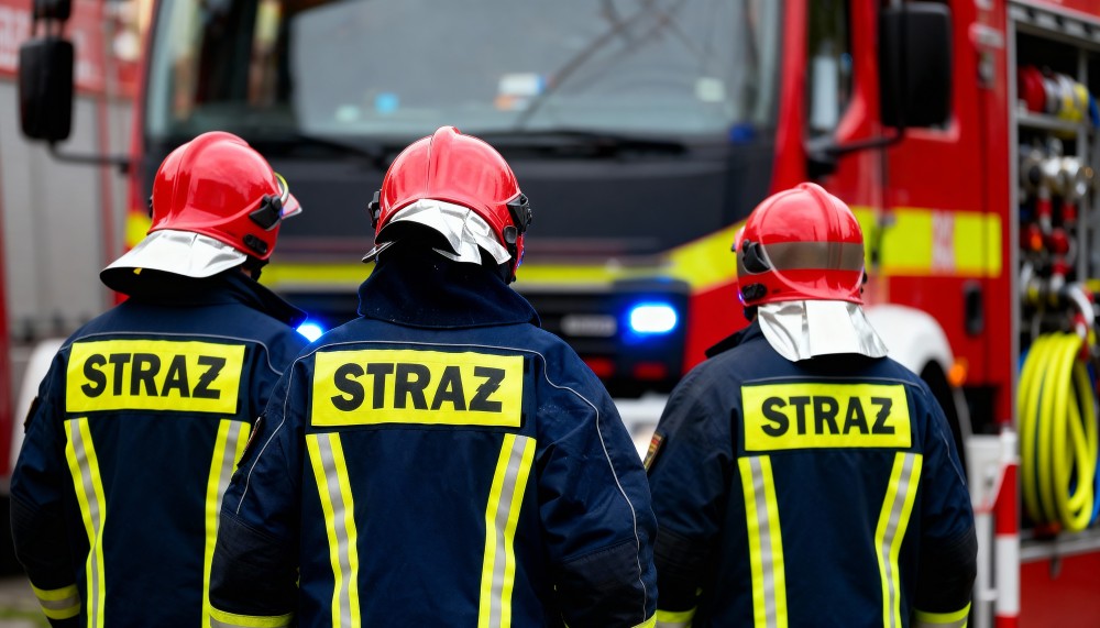 Strażacy uwalniają sowę uwięzioną w kominie w Krakowie