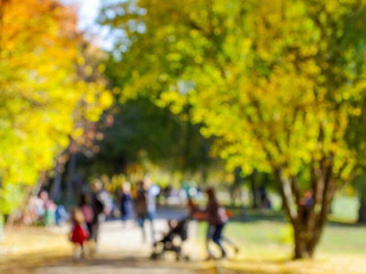 Wsparcie finansowe dla rodzin zastępczych w Krakowie na 2025 rok!