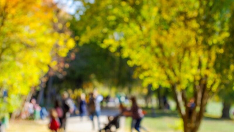 Wsparcie finansowe dla rodzin zastępczych w Krakowie na 2025 rok!