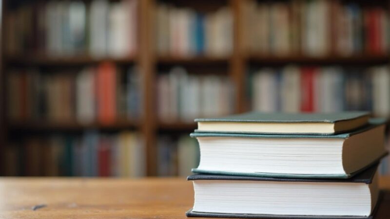 Odkryj poezję Longiny Bu: spotkanie z autorką „Śrubek” w Strefie Sokalskiej