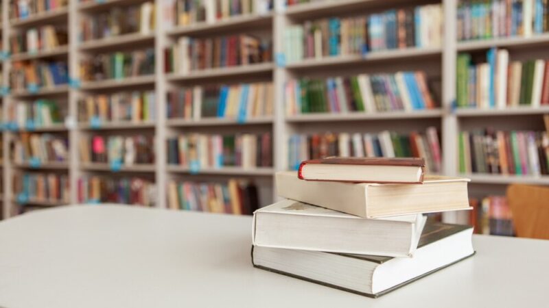 Zimowe przygody z psami: twórcze ferie w bibliotece!