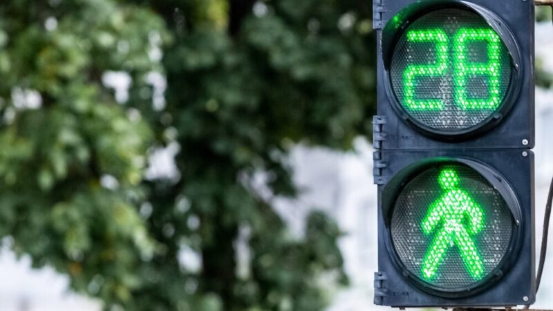 Zwierzęta na drogach: niebezpieczeństwo dla kierowców i pieszych w gminie