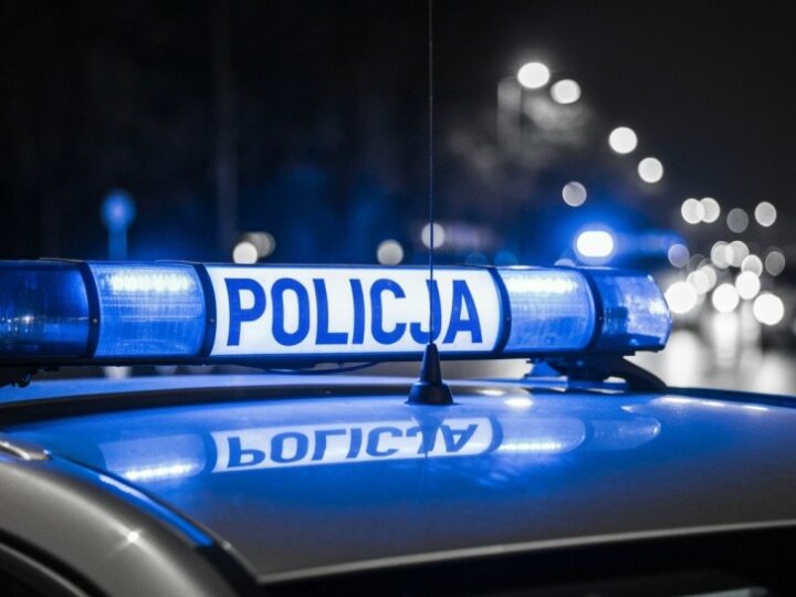 Kierowca z zakazem prowadzenia pojazdów zatrzymany podczas kontroli drogowej