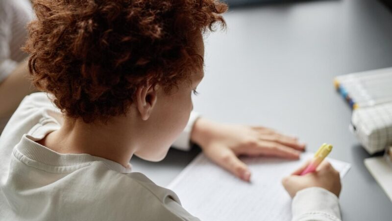 Wybierz swoją przyszłość: Targi Edukacyjne w Niepołomicach!