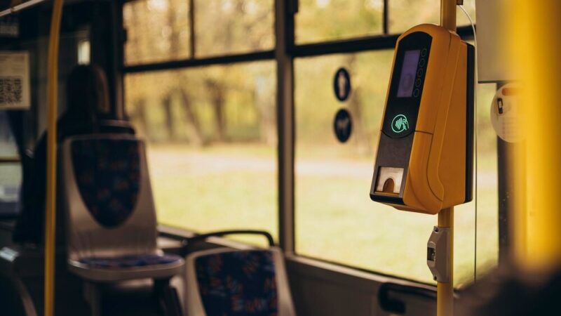 Nowe kursy autobusowe do zoo i Ojcowa na weekend!