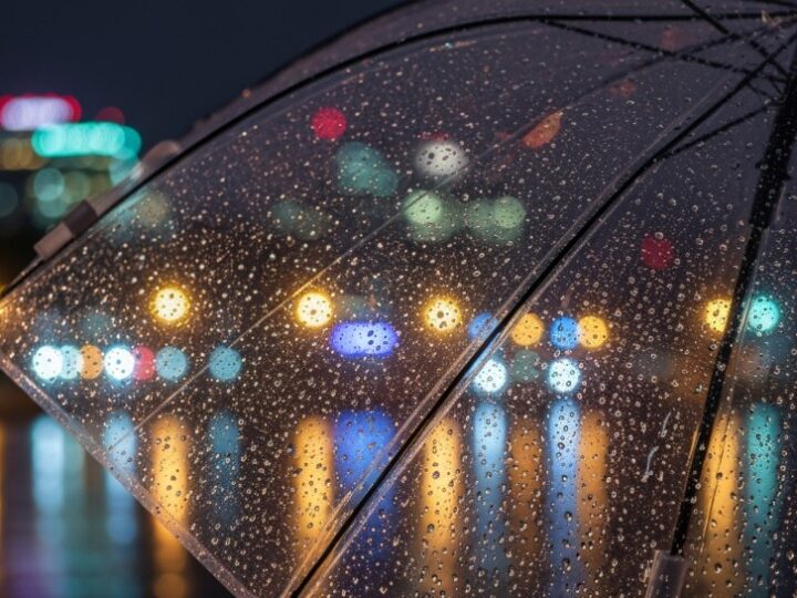 Uwaga! Nocne przymrozki w Krakowie mogą zniszczyć rośliny