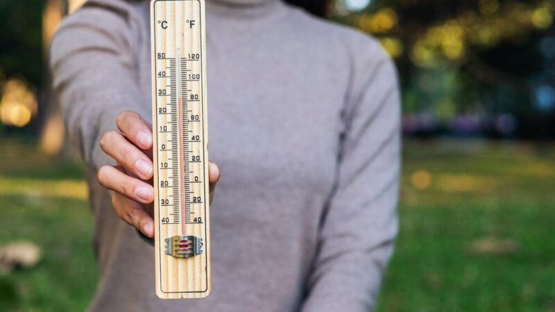 Wyprzedaż Garażowa w Wieliczce: Słońce, Społeczność i Skarby!