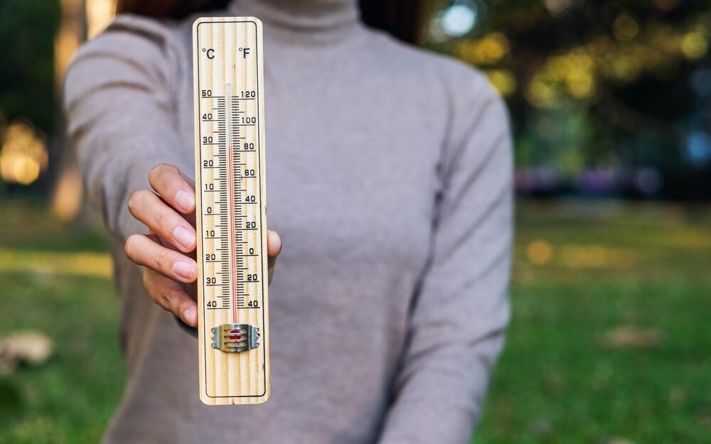 Wyprzedaż Garażowa w Wieliczce: Słońce, Społeczność i Skarby!