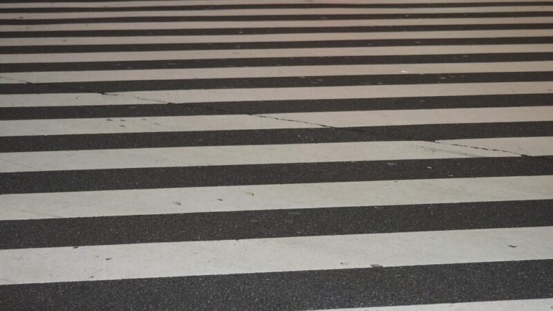 Bezpieczne Majówkowe Lasy: Policja i Straż Leśna w Akcji!