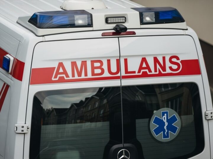 Zagubiona w lesie: szczęśliwy koniec dramatycznych poszukiwań matki i dzieci