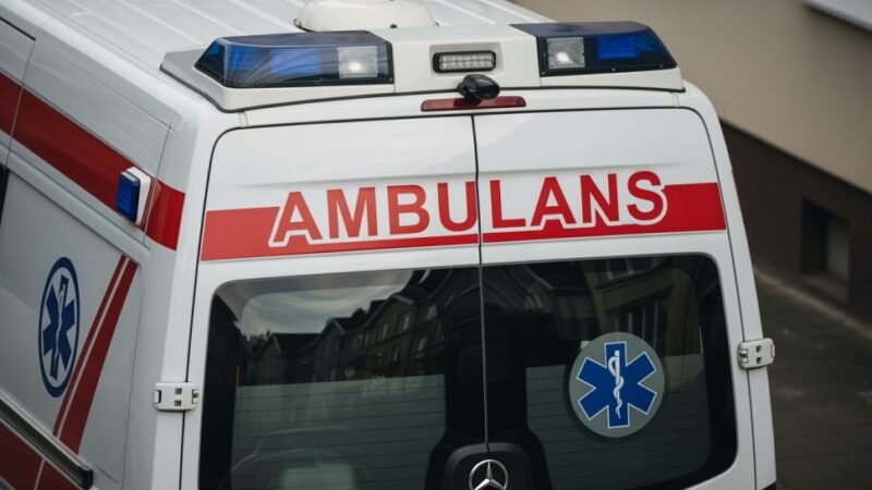 Zagubiona w lesie: szczęśliwy koniec dramatycznych poszukiwań matki i dzieci