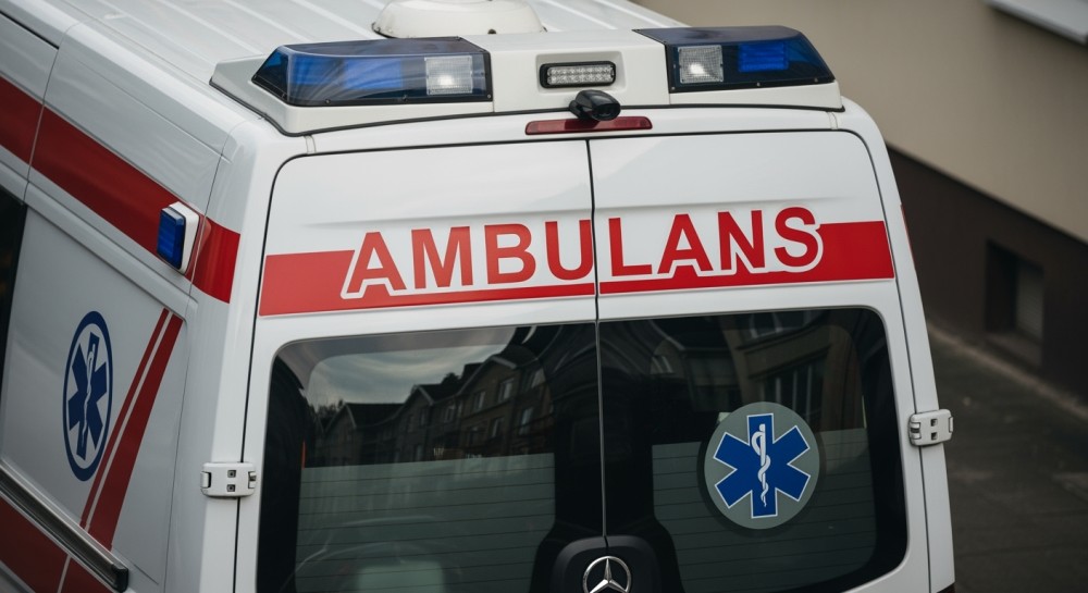 Zagubiona w lesie: szczęśliwy koniec dramatycznych poszukiwań matki i dzieci