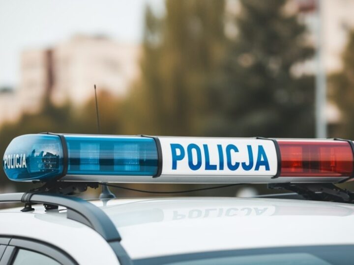 Jeżozwierz na wolności! Policjanci ratują nietypowego uciekiniera w Myślenicach