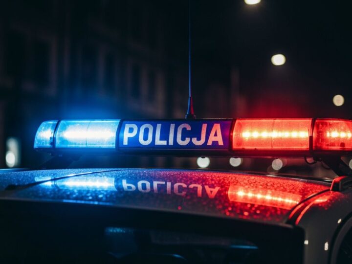 Policyjna ofensywa: 10 aresztowanych, zbrodnicza grupa rozbita!