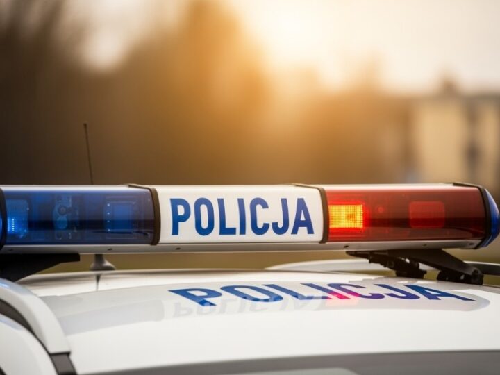 Czworonożni bohaterowie: Jak policyjne psy chronią Nowy Sącz