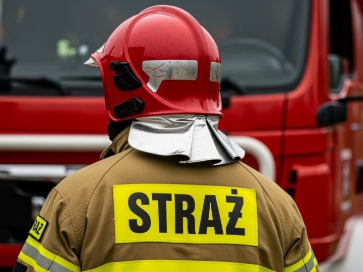 Krakowscy strażnicy ratują lisa z opresji w miejskim zbiorniku