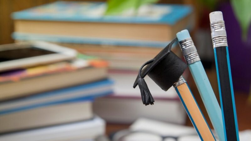 Edukacyjne innowacje w Iwanowicach: Hrabia Walewski wprowadza metodę Lancastera