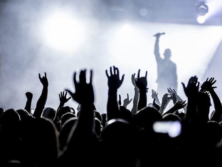 RÓJ” – elektroakustyczny performans z inspiracją pszczelą w Krakowie