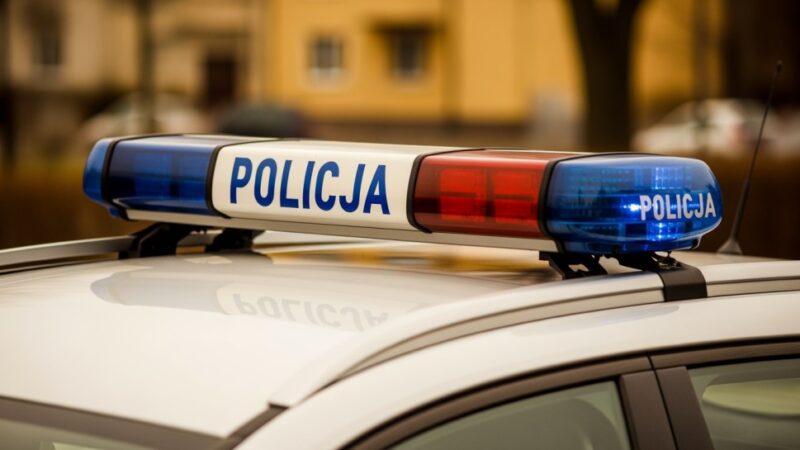 Monitoring w akcji: Wandala zatrzymano na gorącym uczynku w Krakowie