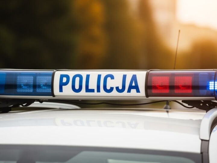 Mężczyzna z 14 zarzutami trafił do aresztu na 3 miesiące