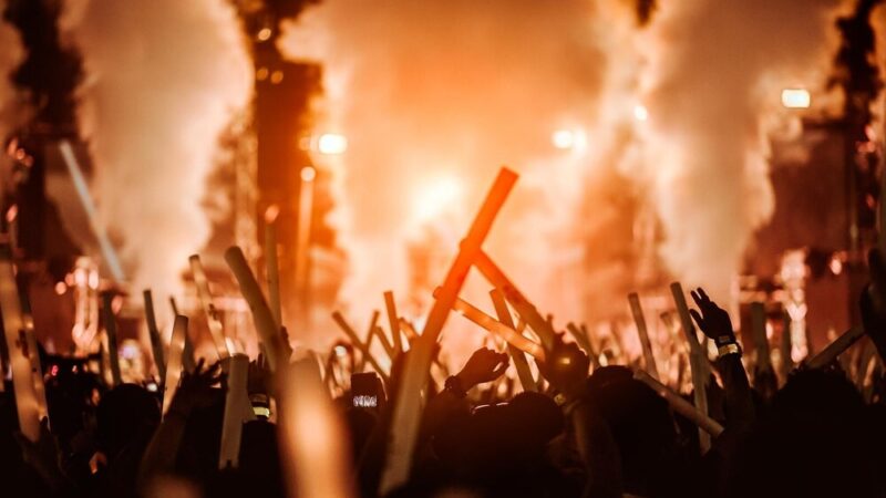 Festiwal Nietoperzy 2023: Sztuka, Pasja i Nocne Przygody!