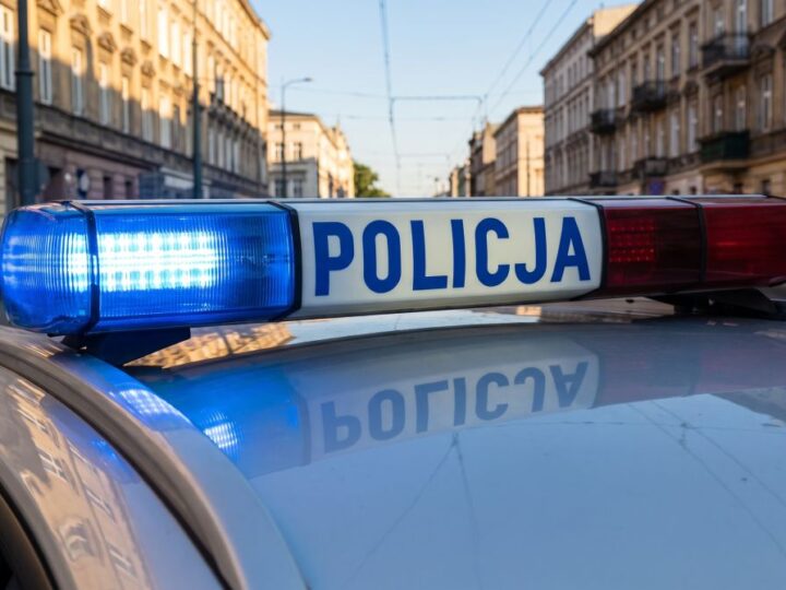 Czworonożni pomocnicy krakowskiej policji w akcji!